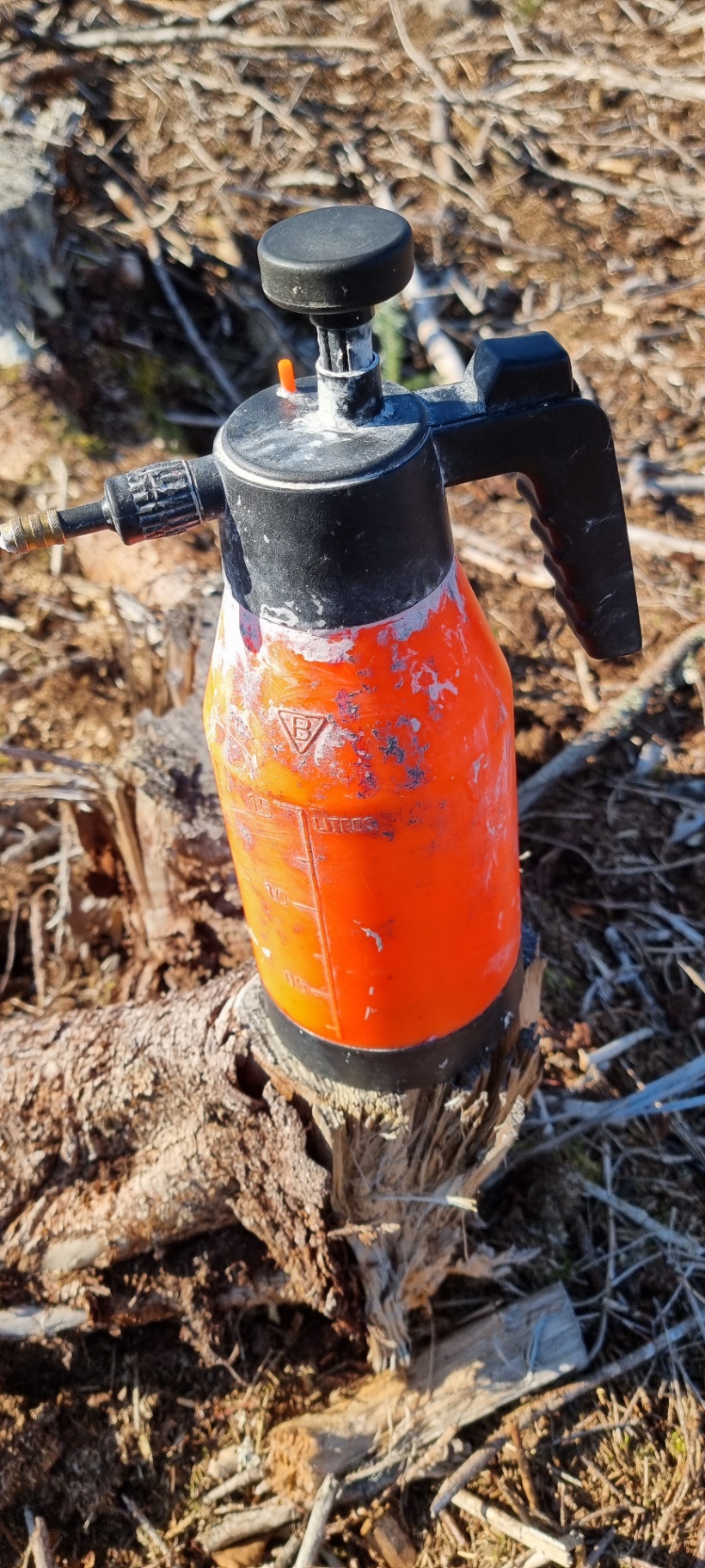 Orange dricksflaska på skogsmark bland barr och grenar